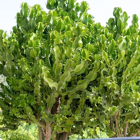 Casa Calida - 500m To Kos Town *