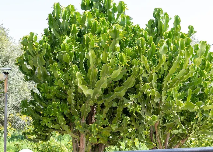 Casa Calida - 500m To Kos Town *